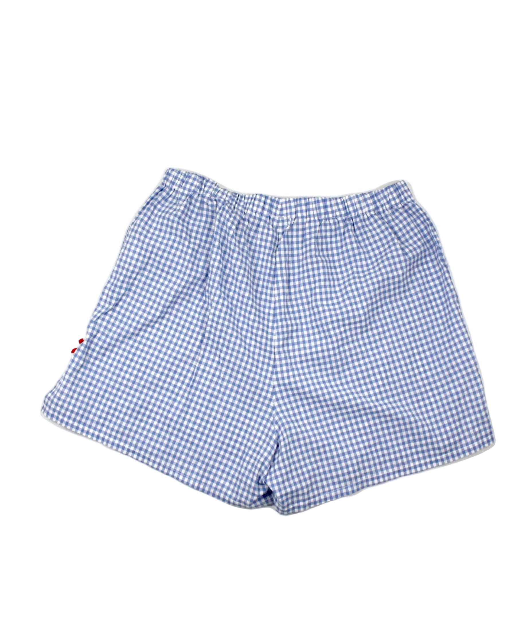 Pigeon Said Please Women's Blue/White Shorts with Gingham, Boxer Style, Side Bows – Size W31