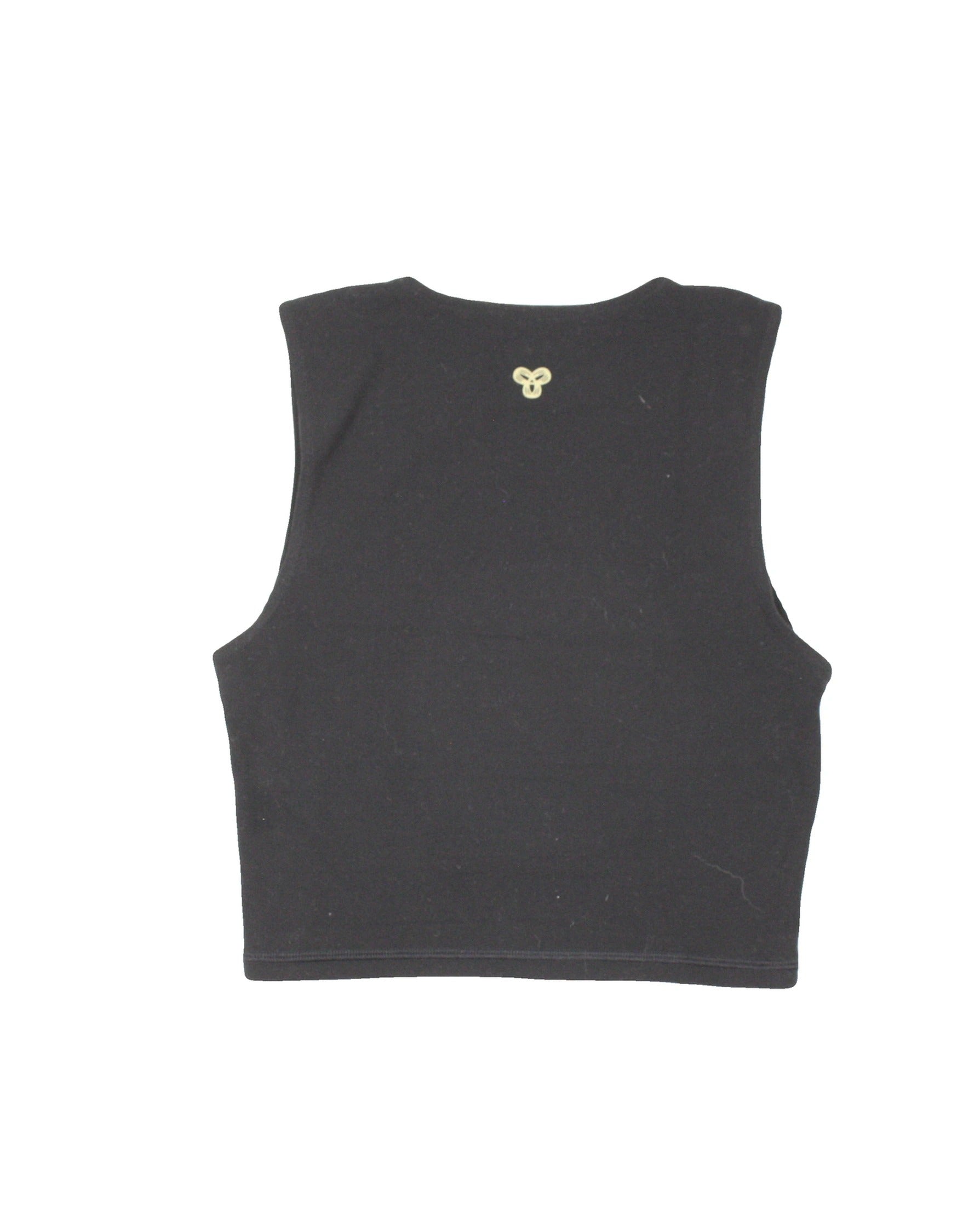 Aritzia Golden Women's Black Sleeveless Stretch Crop Top – Size XS