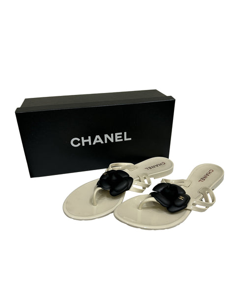 Chanel Size 39 Camellia Jelly Thong Sandals
