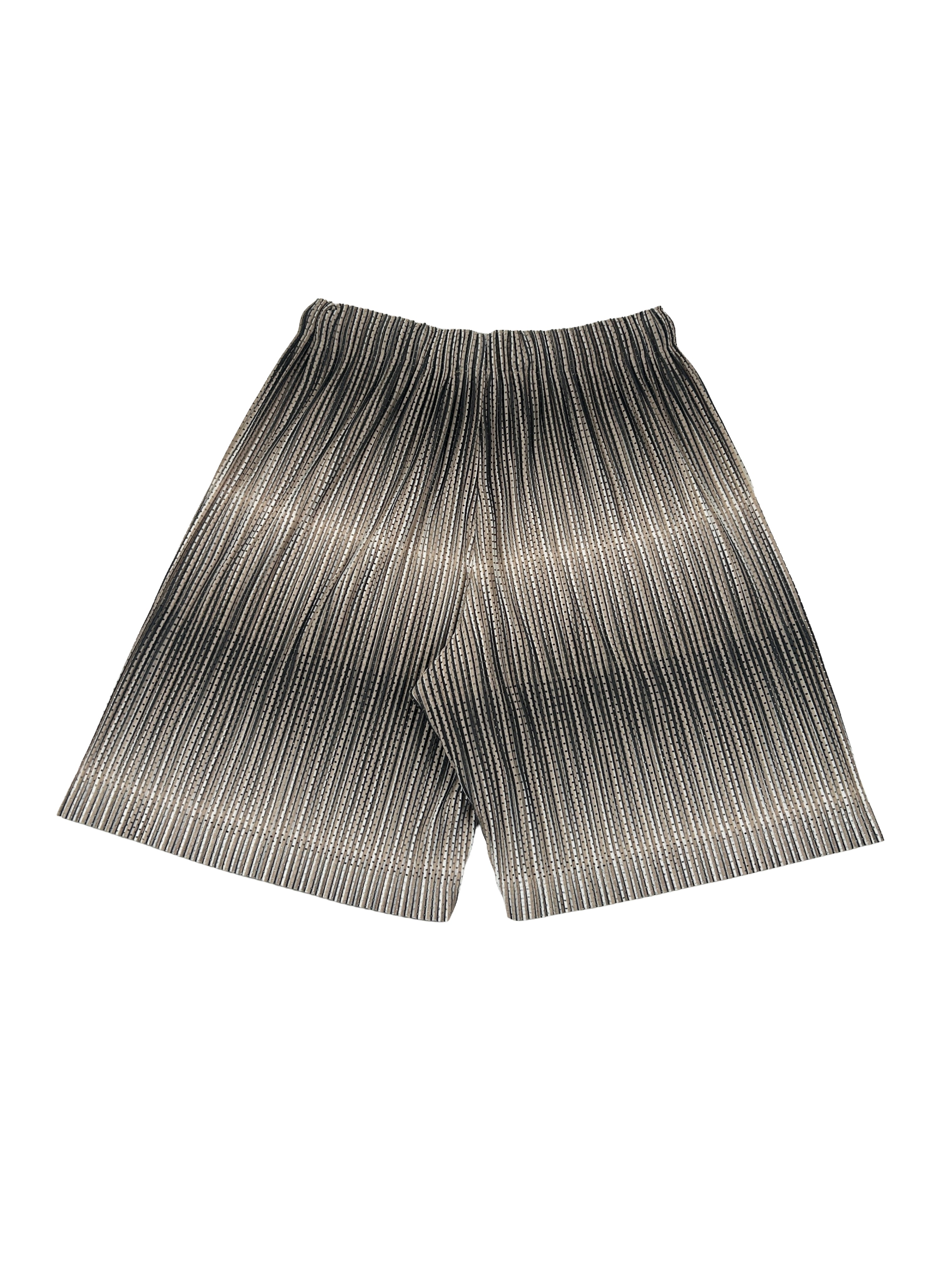 Homme Plisse Issey Miyake Size 30" Hologram Mesh Shorts